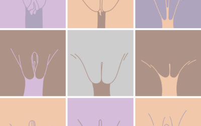 9 vulve